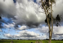 奇异果体育：希罗17投11中&三分9中5砍下30分3板7助 连续两场砍下30+.