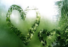 队报盘点法国年轻门将储备：充足还是有隐忧？.