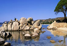 [冰雪]世界男子冰壶锦标赛循环赛：中国VS德国.